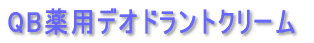 �X�[�p�[�{�f�B�A���i 