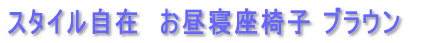 �X�^�C�����݁@�����Q���֎q �u���E��
